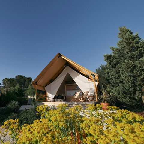 TENT 6 people - Glamping
