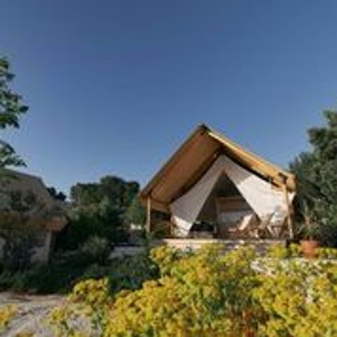 TENT 6 people - tent Glamping