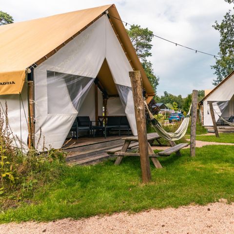 Tent 4 persons - tent Glamping