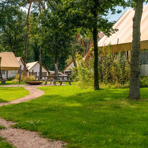 Tent 4 persons - tent Glamping