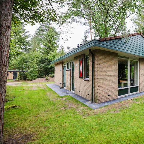 Bungalow 6 persons - Calluna