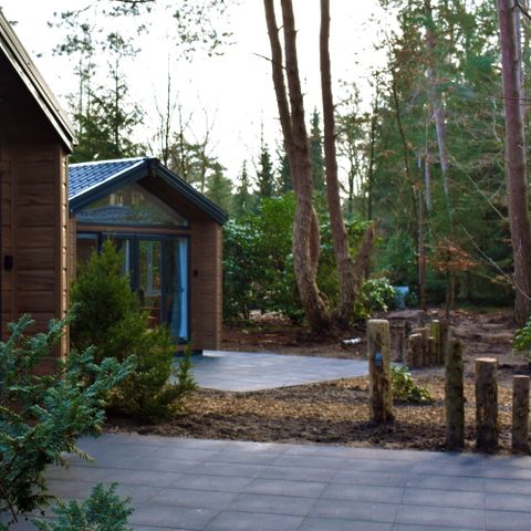 CHALET 4 people - Forest Cottage