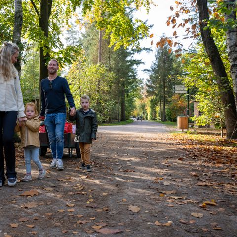 Recreatiepark De Paalberg - Ermelo - Image N°6