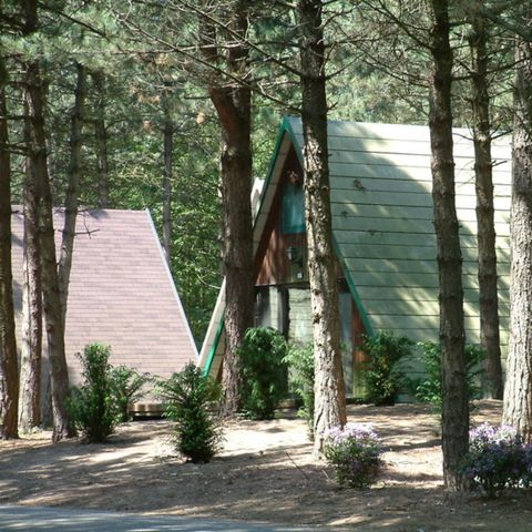 Bungalow 5 persons - Heidehut Penta