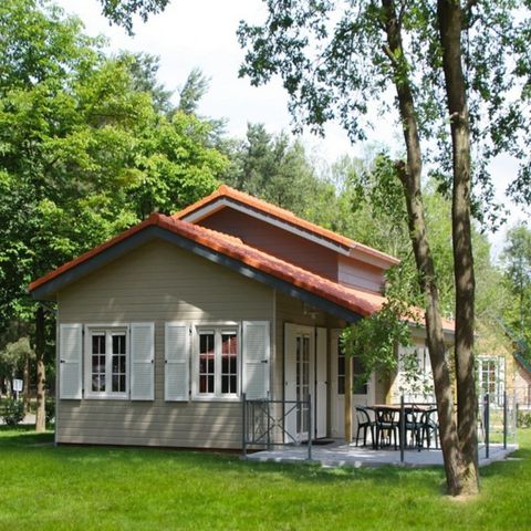 HOUSE 6 people - Mundo