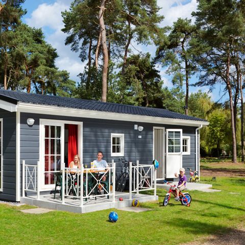 Bungalow 4 persons - Greenhouse Zetha