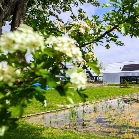 VILLA 18 people - Loft 18