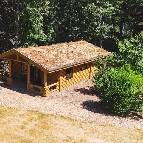 Bungalow 4 persons - Lodge