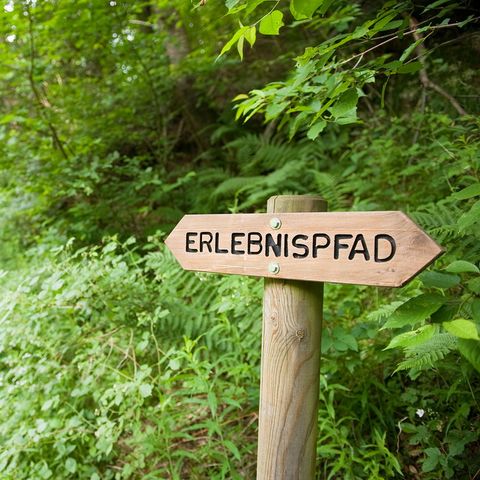 Ferienpark Ronshausen - Hesse - Image N°4