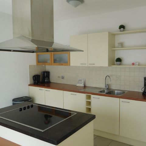 Group accommodation 10 persons - De Kievit country house