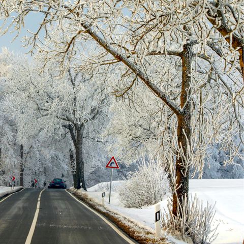 HOUSE 4 people - 2+2 Kids DAN911