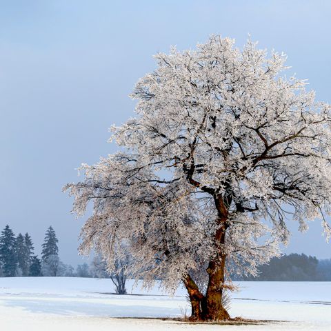 HOUSE 6 people - 4+2 Kids DAN919