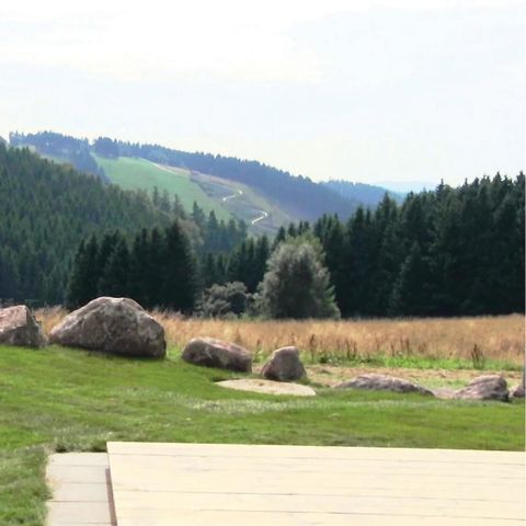 MOBILE HOME 6 people - mobile home/chalet 4+2 Kids DAN928