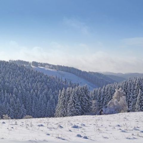PanoramaPark St. Andreasberg - Camping Lower Saxony - Image N°3