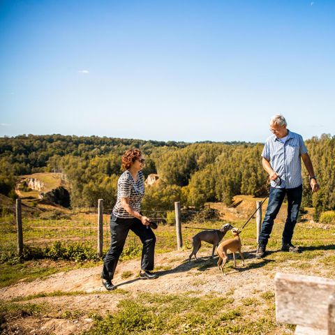 HOUSE 4 people - Ravenbosch - Sauna & Ambience Fireplace