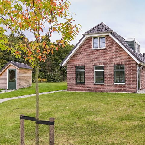 BUNGALOW 6 people - Schoonhoven
