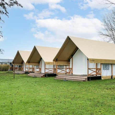 Tent 6 persons - tent Glamping