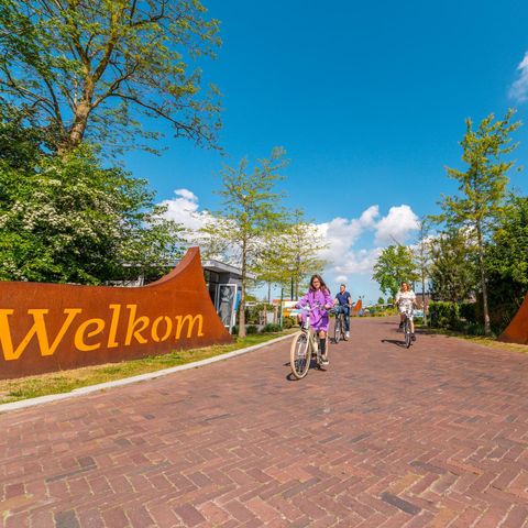 TENT 4 people - tent Glamping