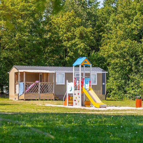 CHALET 5 people - Black-tailed godwit