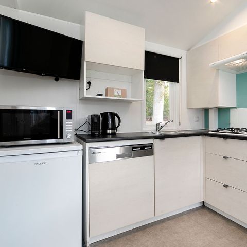 CHALET 5 people - Black-tailed godwit