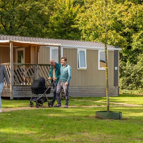 CHALET 5 people - Black-tailed godwit