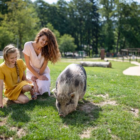 Center Parcs Les Ardennes - Belgian Luxembourg - Image N°5