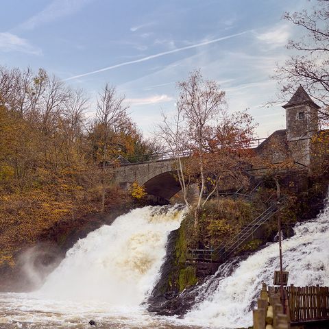 Center Parcs Les Ardennes - Belgian Luxembourg - Image N°4