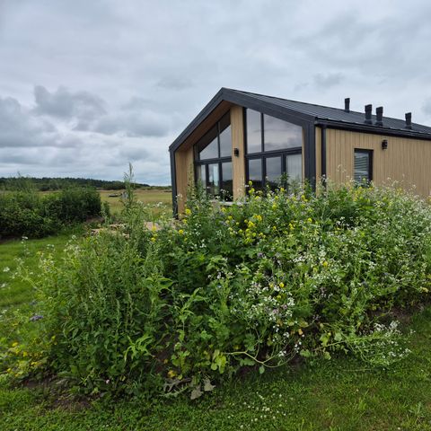 HOUSE 4 people - Type Dommel | 4 persons