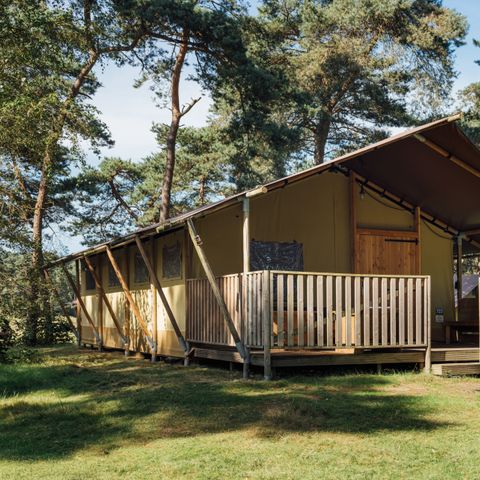 Canvas and wooden tent 6 persons - Safaritent