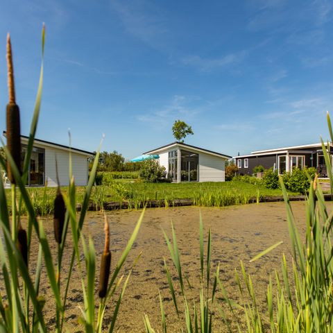Bungalow 5 persons - Rialto