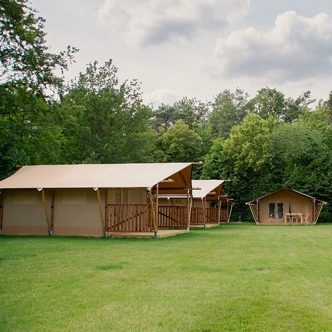 Canvas and wooden tent 5 persons - Safari tent
