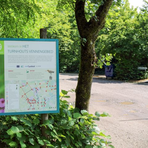 Camping Baalse Hei - Camping Antwerp - Image N°6
