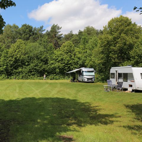 Camping Baalse Hei - Antwerp - Image N°6