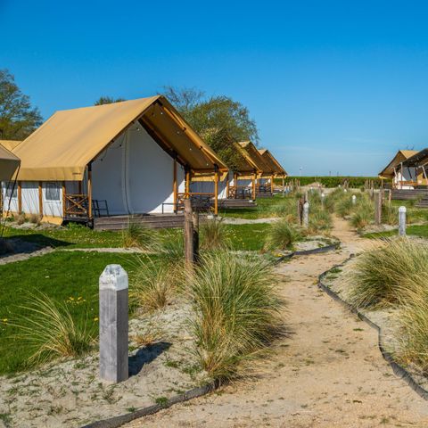 Tent 4 persons - Glamping
