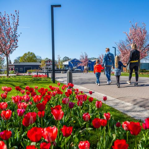 HOUSE 6 people - Berkel