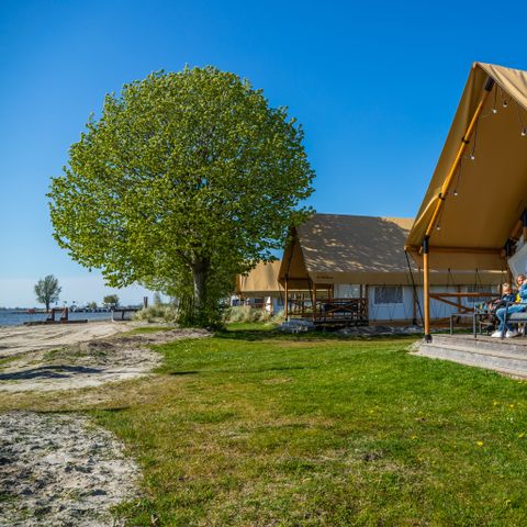 Canvas and wooden tent 6 persons - Glamping tent Beachfront Luxury