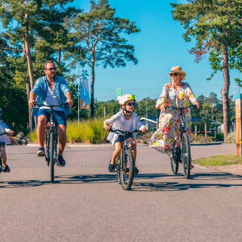 EuroParcs Zilverstrand - Camping Antwerp - Image N°5