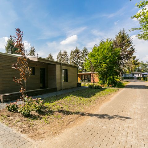 Bungalow 4 persons - Forest Lodge Mikah
