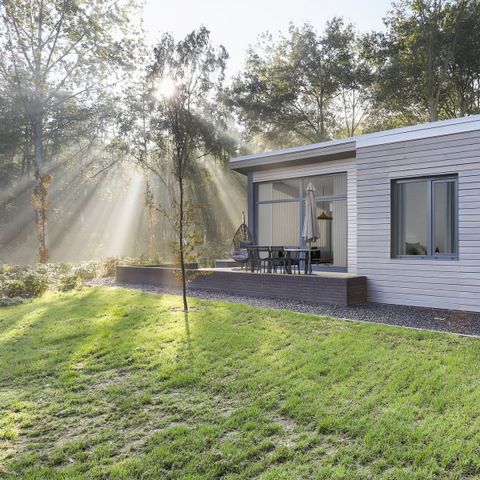 Bungalow 4 persons - Forest Lodge Olivia