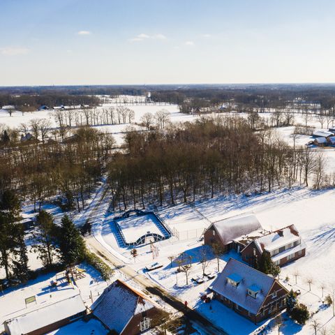 HOUSE 26 people - 2The Regge