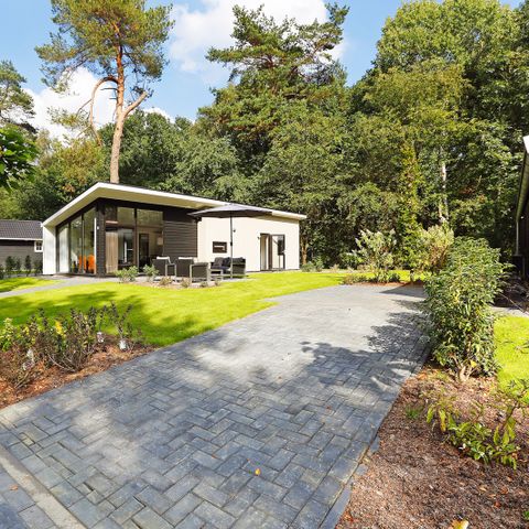 Bungalow 5 persons - Forest Lodge