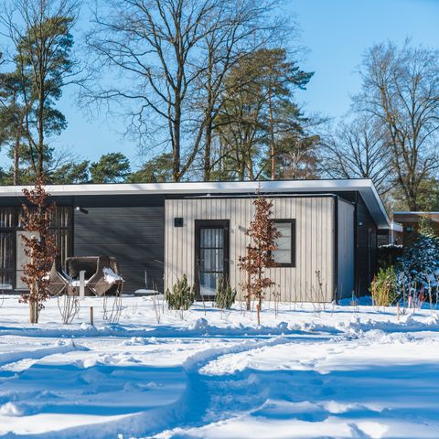 BUNGALOW 4 people - Forest Lodge