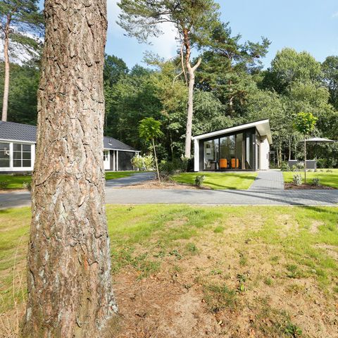 Bungalow 4 persons - Forest Lodge