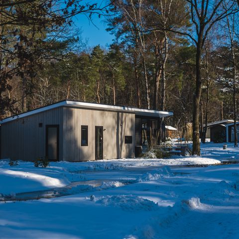 Bungalow 4 persons - Forest Lodge