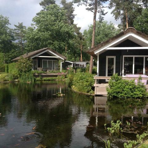 LODGE 4 people - Meerkoet