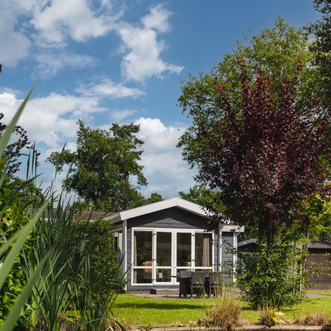 Lodge 2 persons - Forest Wellness