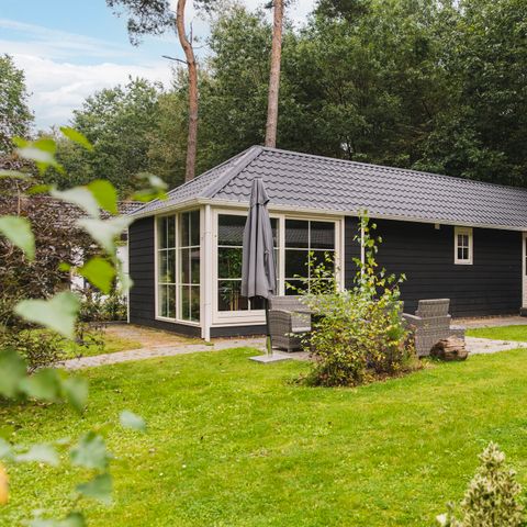 House 6 persons - Lodge Wagtail C29