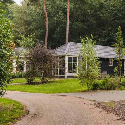 House 6 persons - Lodge Wagtail C29