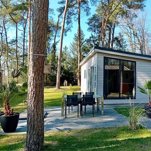 Lodge 3 persons - Forest Lodge The Beautiful Spot