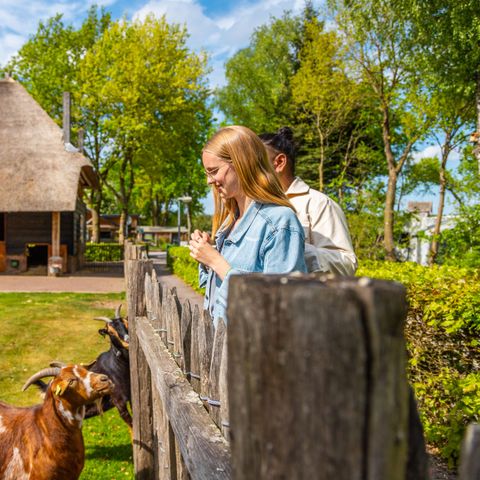 EuroParcs De Wije Werelt - Camping Ede - Image N°4